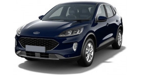 2019-