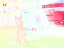 T2D000H (2) (4)